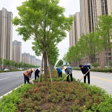 无为新建绿化工程招标公示